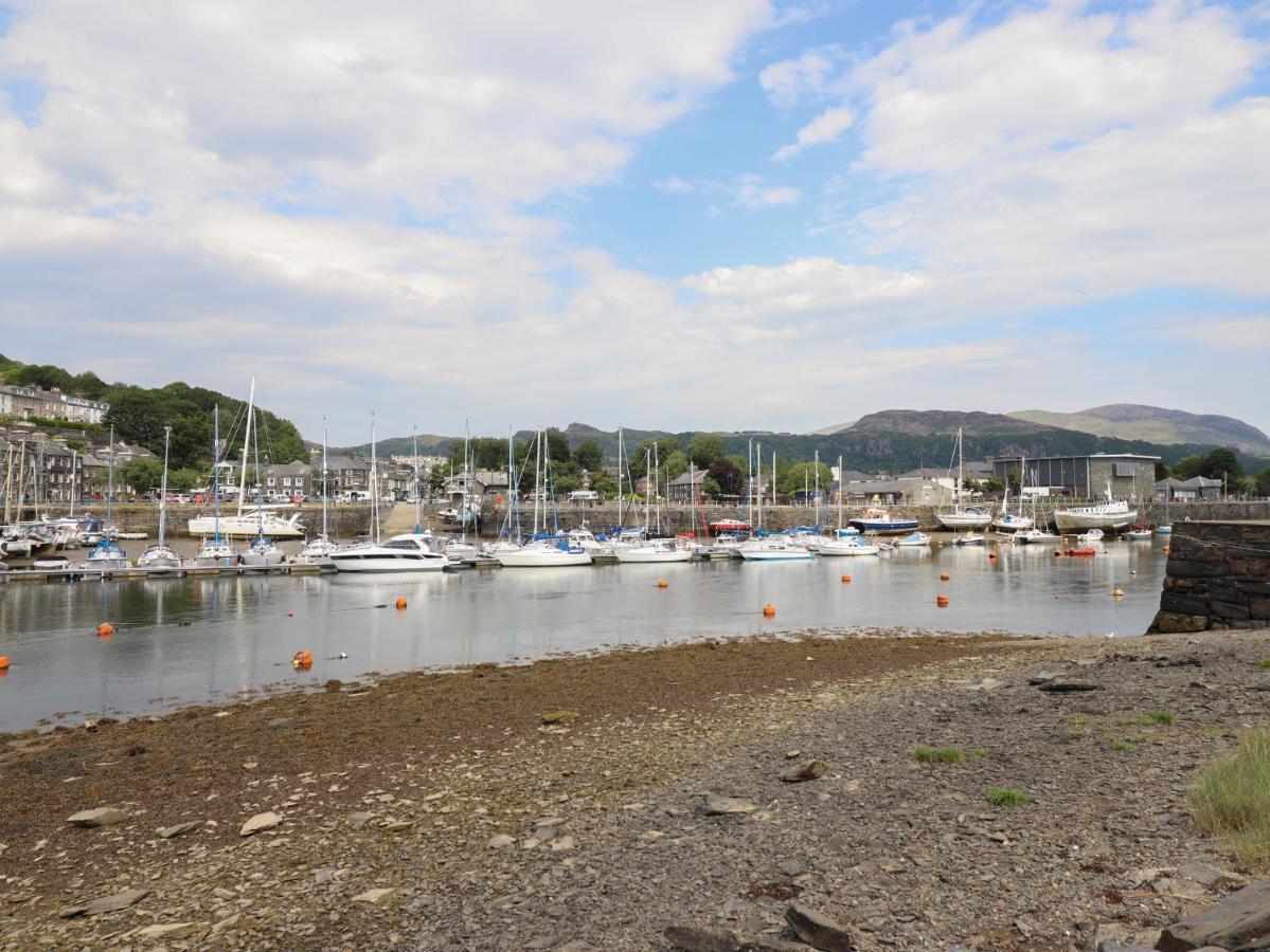 Moelwyn 57d South Snowdon Wharf Porthmadog